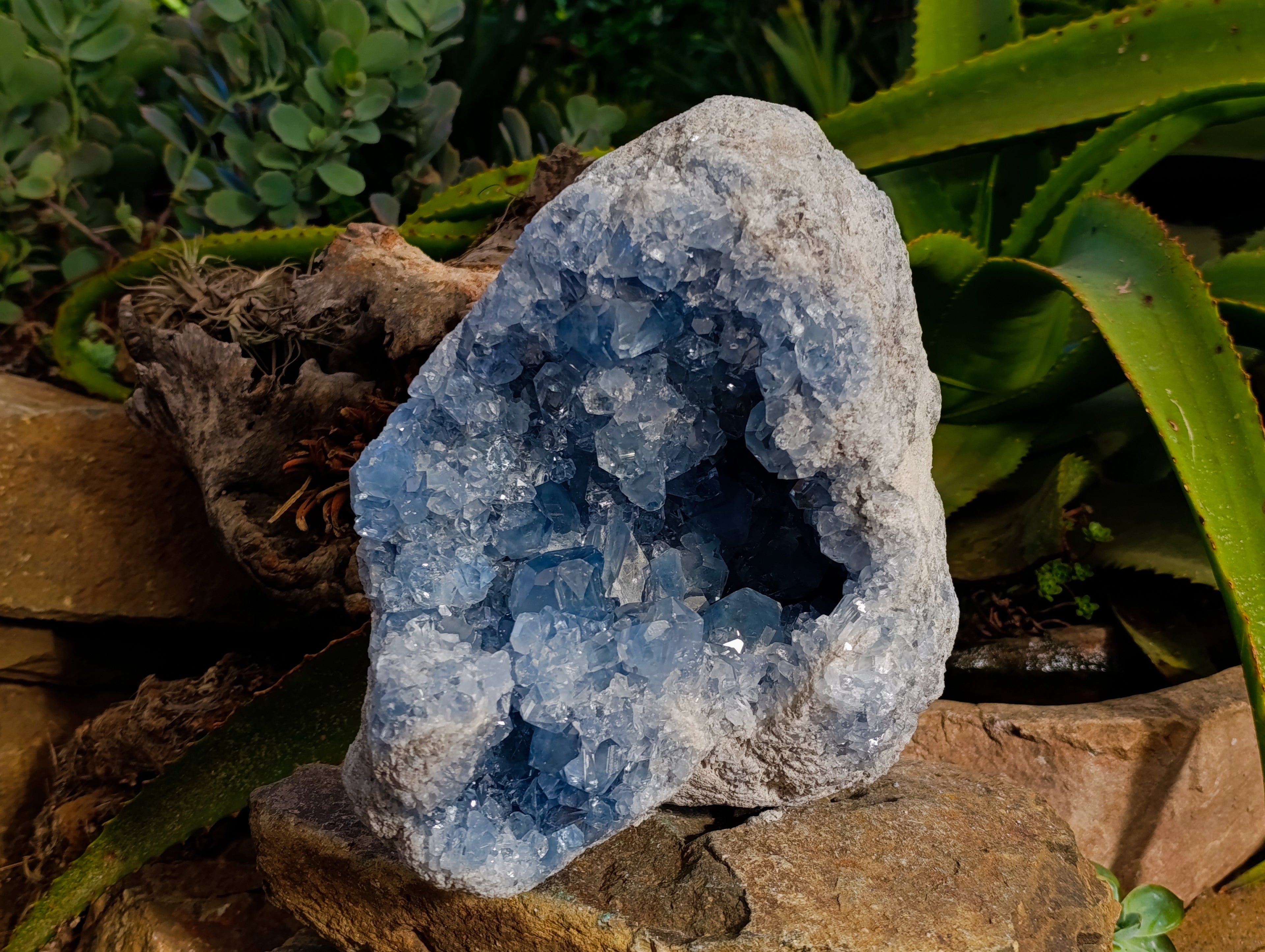 Natural Large Celestite Geode Specimen x 1 From Sakoany, Madagascar - Toprock Gemstones and Minerals 