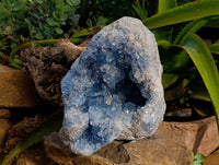 Natural Large Celestite Geode Specimen x 1 From Sakoany, Madagascar