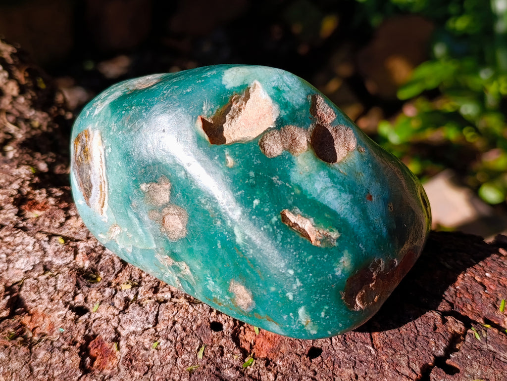 Polished Emerald Mtorolite Free Forms x 2 From Mutorashanga, Zimbabwe - Toprock Gemstones and Minerals 
