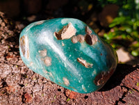 Polished Emerald Mtorolite Free Forms x 2 From Mutorashanga, Zimbabwe - Toprock Gemstones and Minerals 
