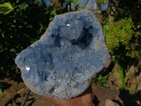 Natural Large Celestite Geode Specimen x 1 From Sakoany, Madagascar