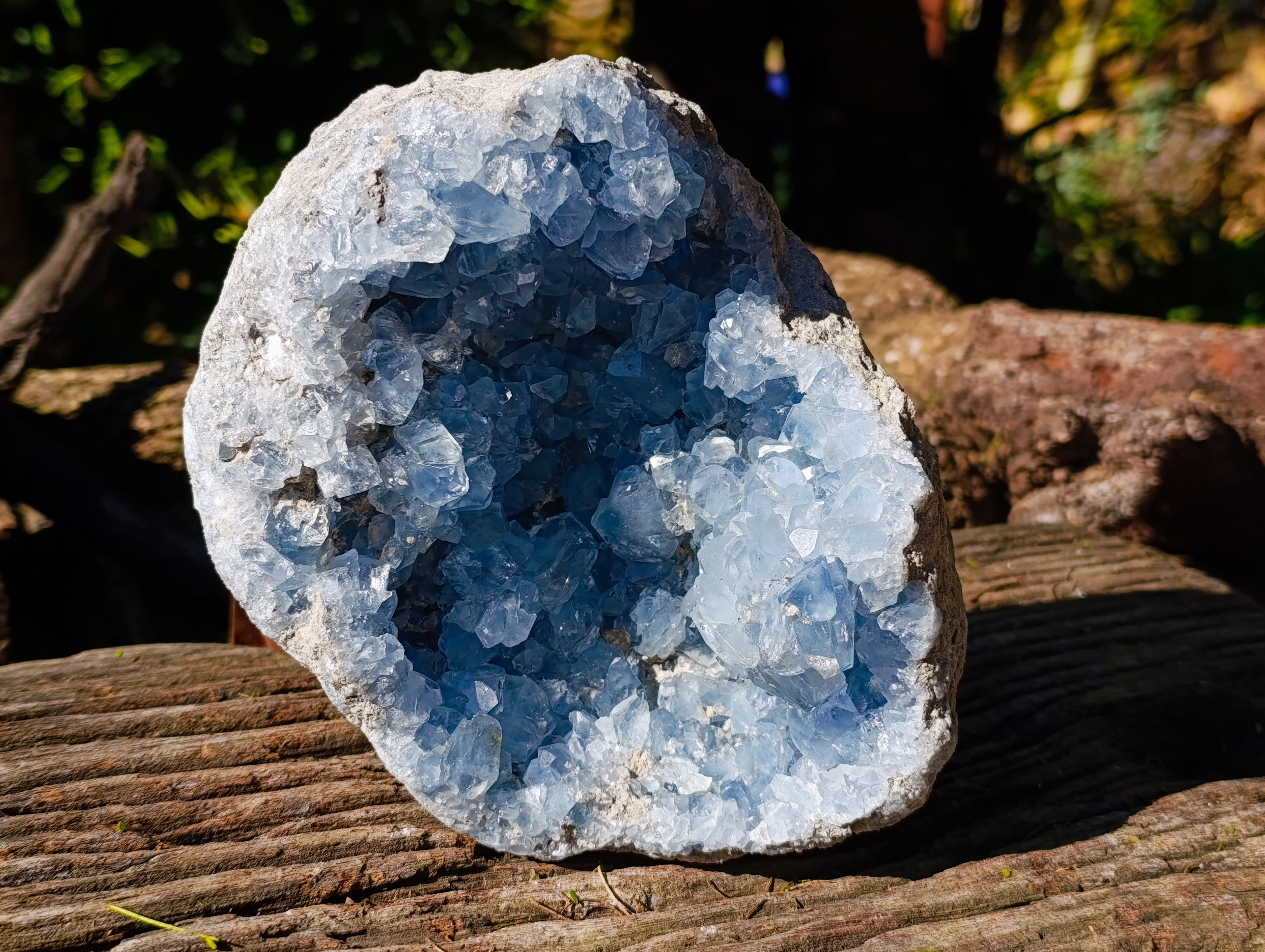 Natural Large Celestite Geode Specimen x 1 From Sakoany, Madagascar - Toprock Gemstones and Minerals 