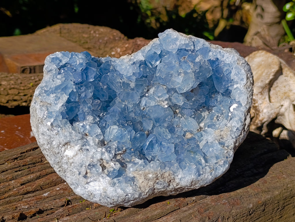 Natural Large Celestite Geode Specimen x 1 From Sakoany, Madagascar - Toprock Gemstones and Minerals 
