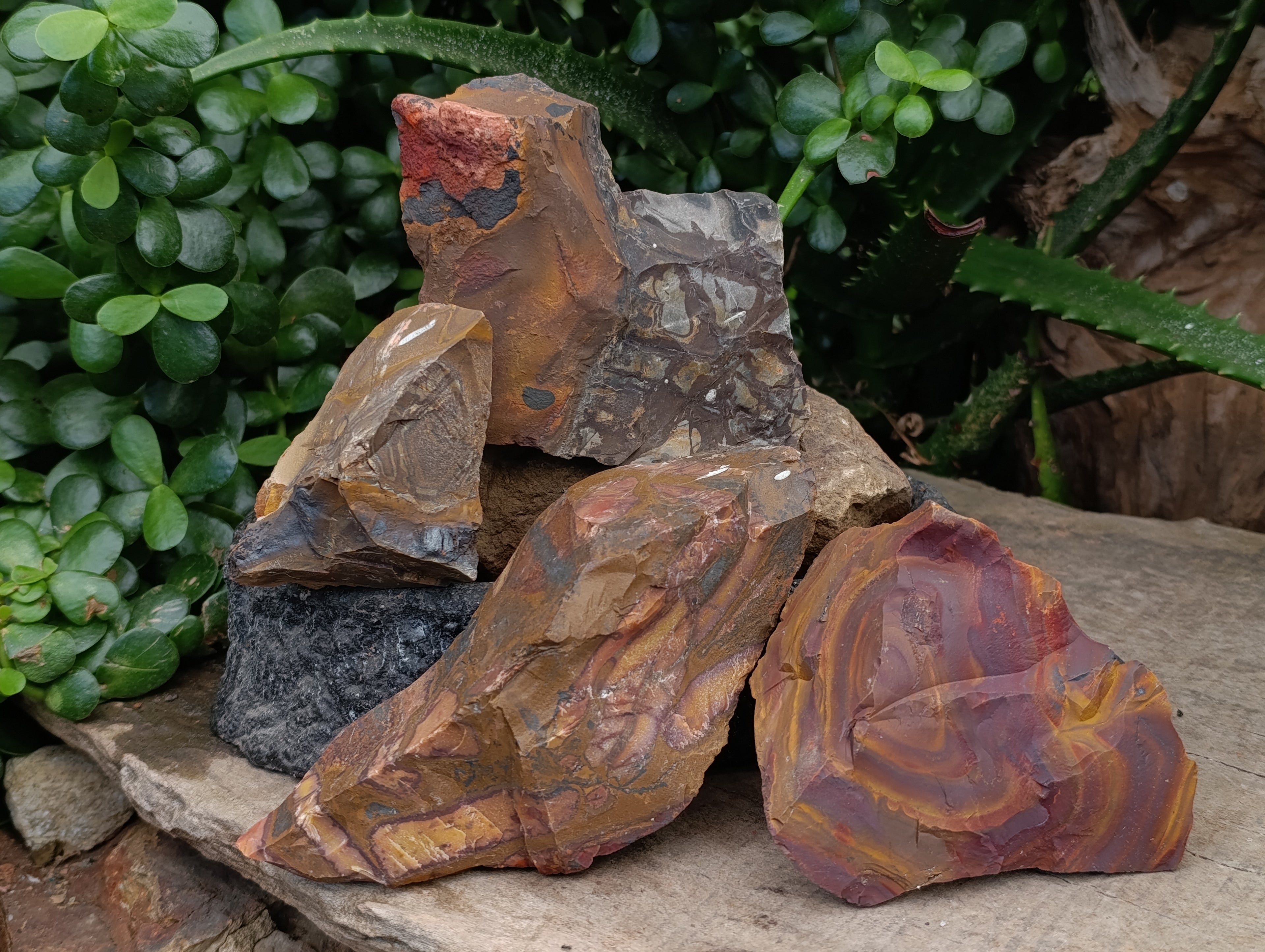 Natural Nguni Jasper Cobbed Specimens x 16 From Prieska, South Africa - Toprock Gemstones and Minerals 