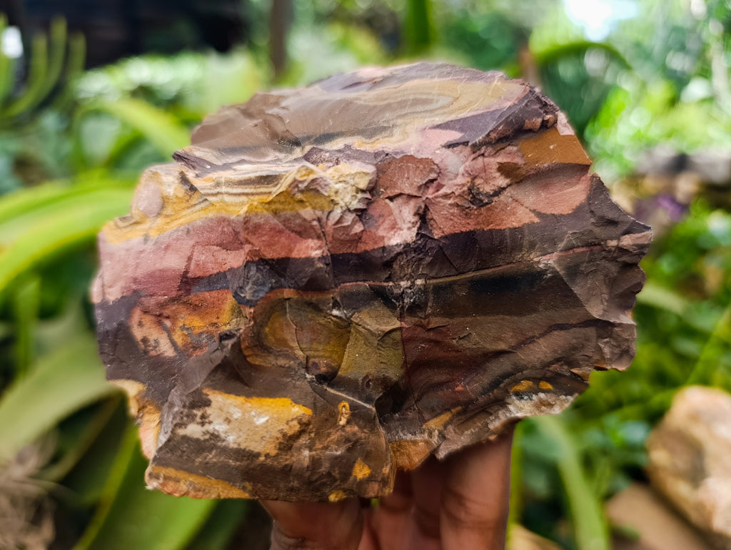 Natural Nguni Jasper Cobbed Specimens x 16 From Prieska, South Africa - Toprock Gemstones and Minerals 