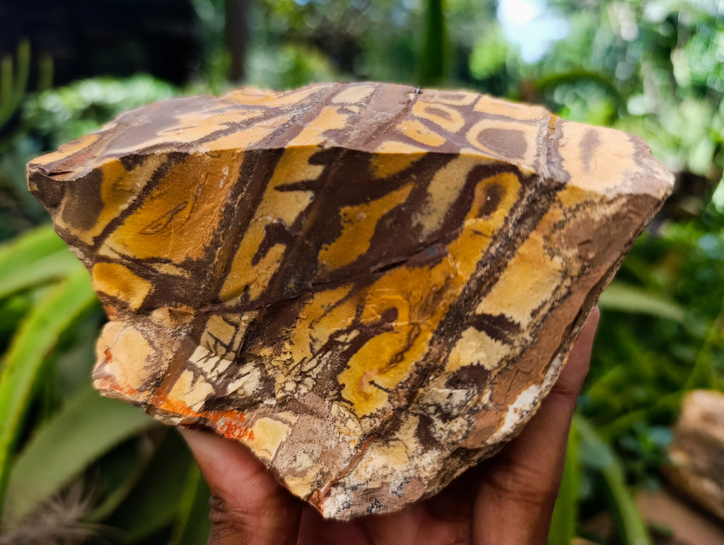 Natural Nguni Jasper Cobbed Specimens x 16 From Prieska, South Africa - Toprock Gemstones and Minerals 