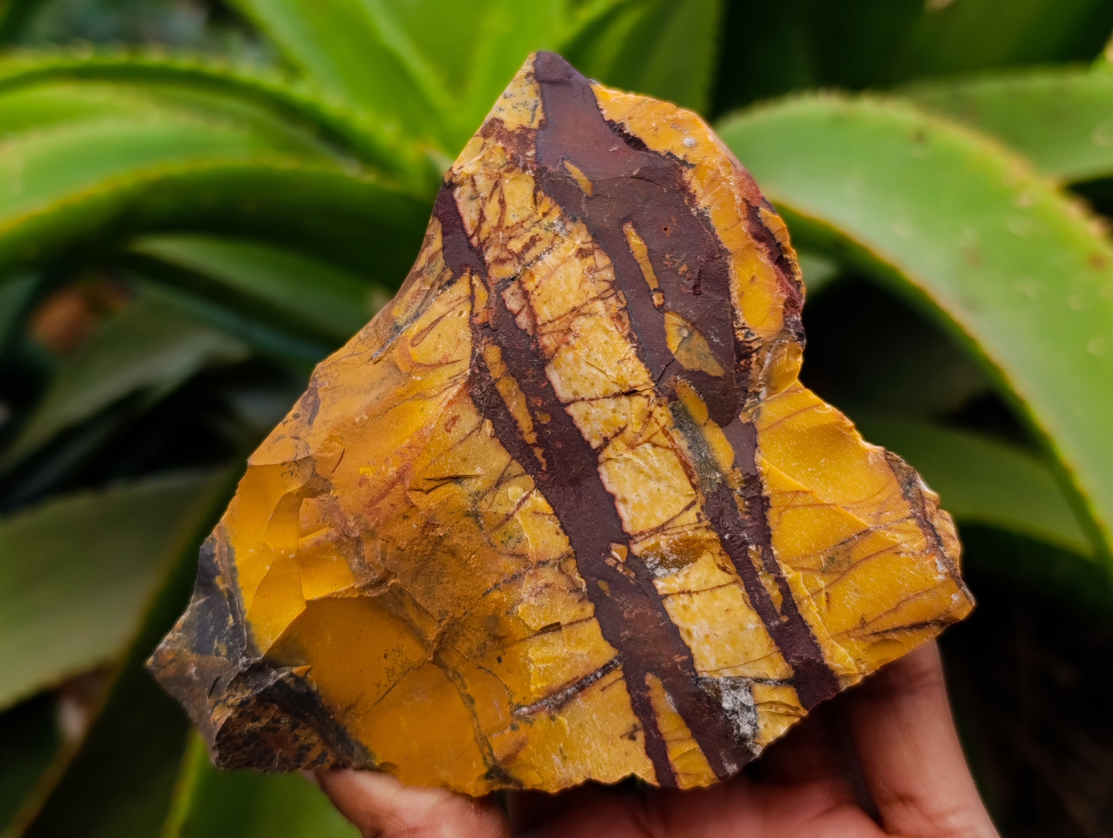 Natural Nguni Jasper Cobbed Specimens x 16 From Prieska, South Africa - Toprock Gemstones and Minerals 