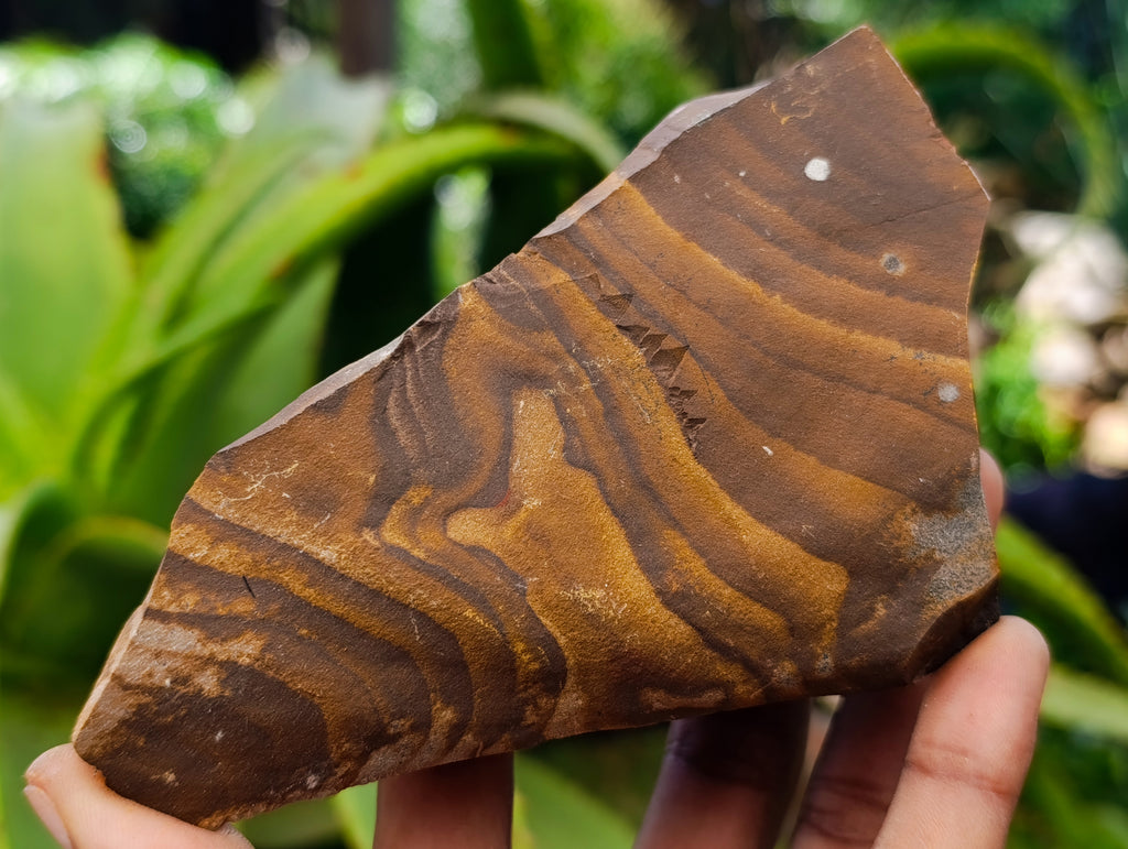 Natural Nguni Jasper Cobbed Specimens x 16 From Prieska, South Africa - Toprock Gemstones and Minerals 