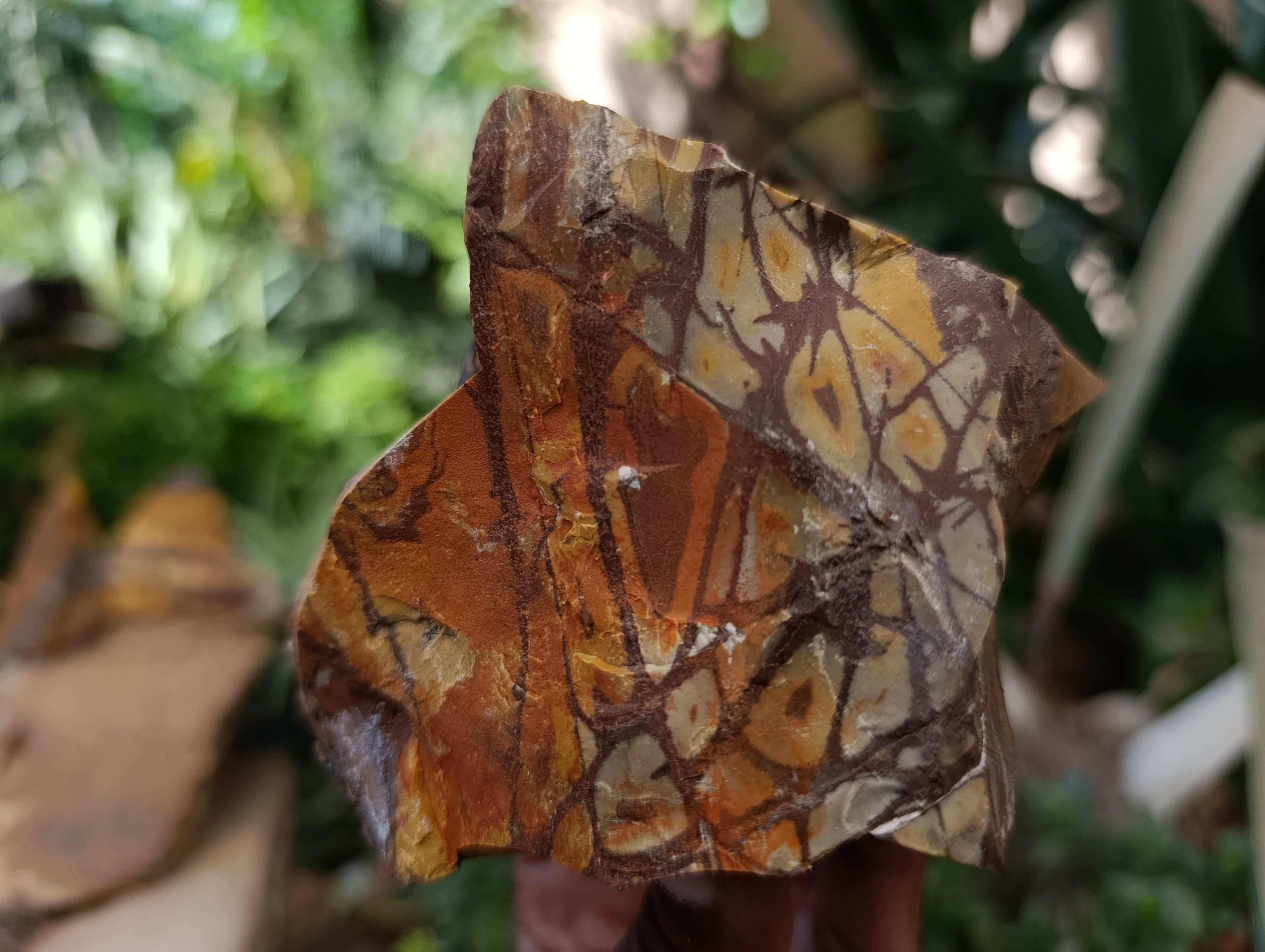 Natural Nguni Jasper Cobbed Specimens x 16 From Prieska, South Africa - Toprock Gemstones and Minerals 