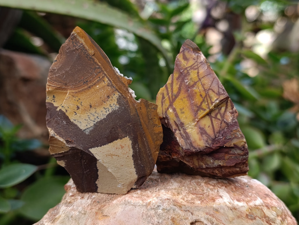 Natural Nguni Jasper Cobbed Specimens x 16 From Prieska, South Africa - Toprock Gemstones and Minerals 