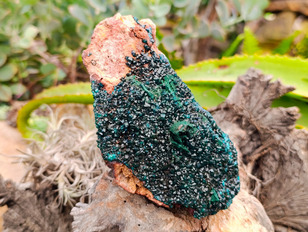 Natural Dioptase with Silky Malachite On Dolomite Cabinet Specimen x 1 From Likasi, Congo - Toprock Gemstones and Minerals 