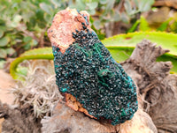 Natural Dioptase with Silky Malachite On Dolomite Cabinet Specimen x 1 From Likasi, Congo