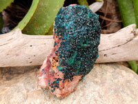 Natural Dioptase with Silky Malachite On Dolomite Cabinet Specimen x 1 From Likasi, Congo