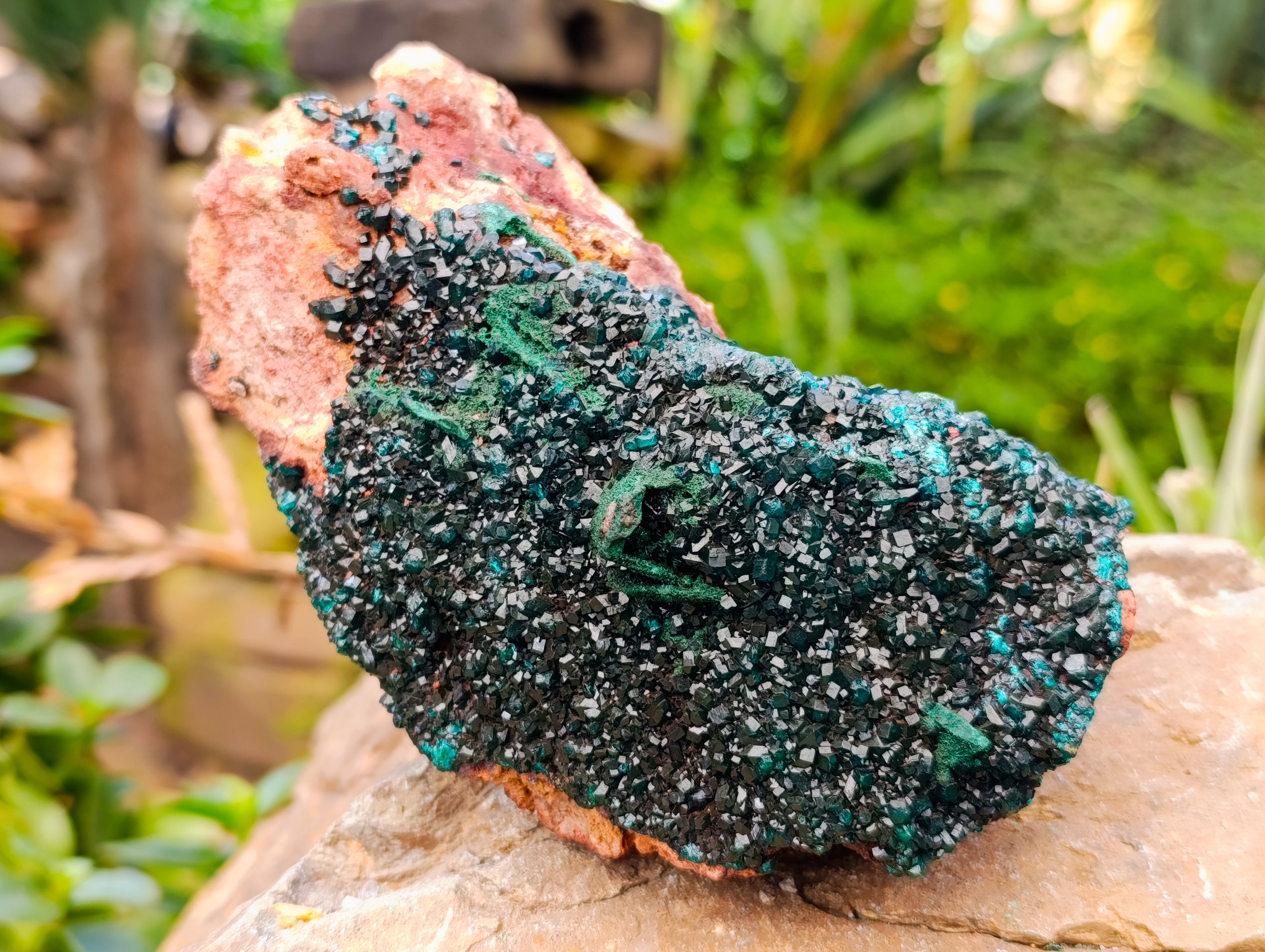 Natural Dioptase with Silky Malachite On Dolomite Cabinet Specimen x 1 From Likasi, Congo - Toprock Gemstones and Minerals 