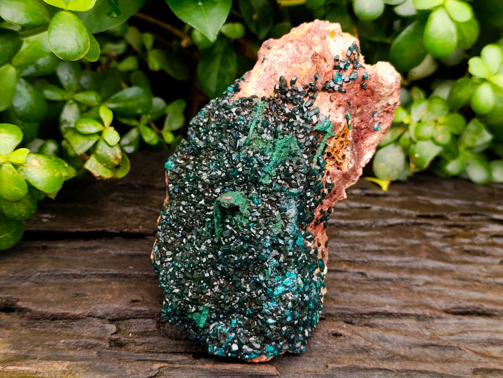 Natural Dioptase with Silky Malachite On Dolomite Cabinet Specimen x 1 From Likasi, Congo - Toprock Gemstones and Minerals 