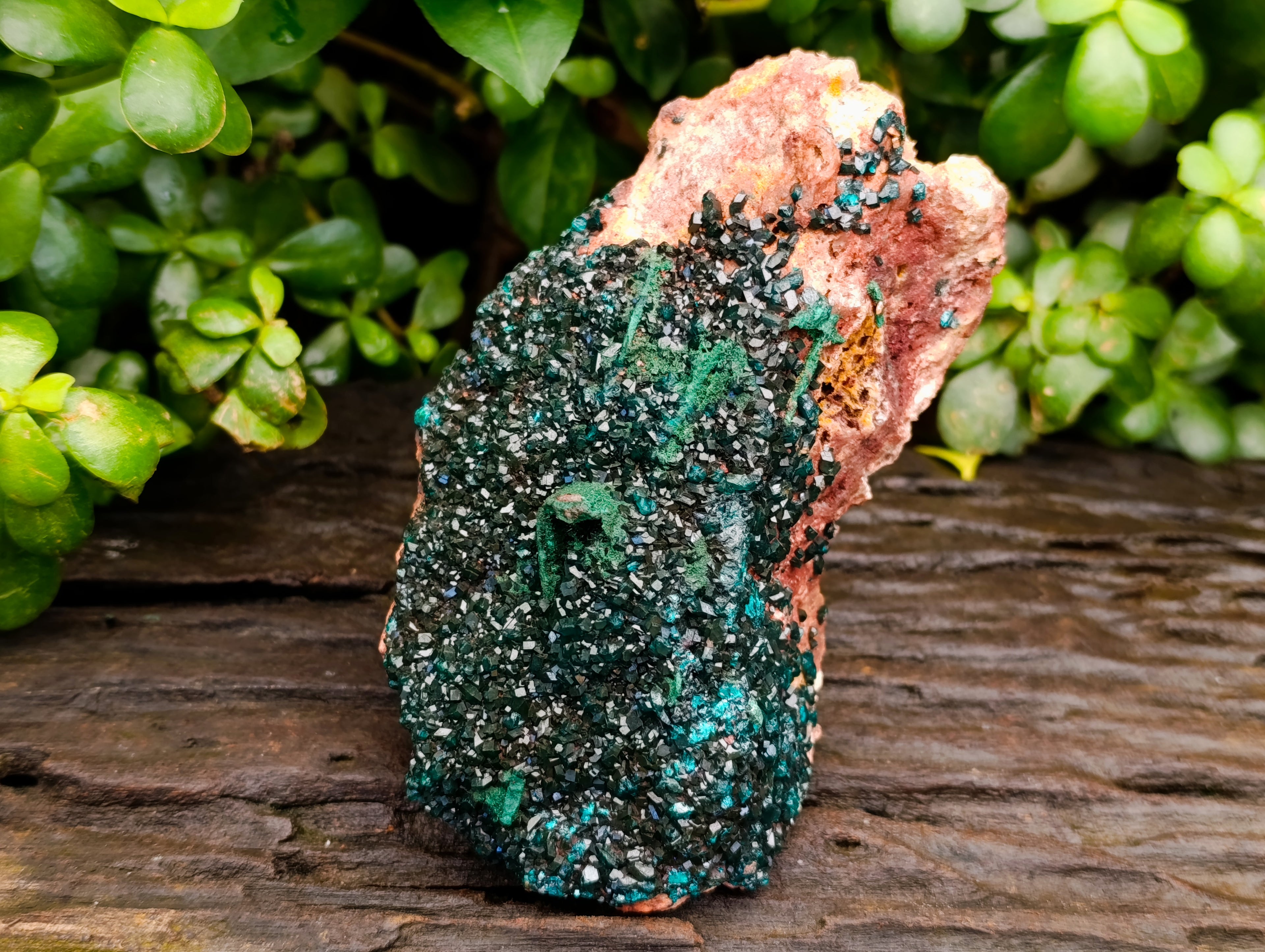 Natural Dioptase with Silky Malachite On Dolomite Cabinet Specimen x 1 From Likasi, Congo - Toprock Gemstones and Minerals 