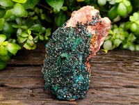 Natural Dioptase with Silky Malachite On Dolomite Cabinet Specimen x 1 From Likasi, Congo