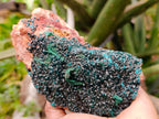 Natural Dioptase with Silky Malachite On Dolomite Cabinet Specimen x 1 From Likasi, Congo - Toprock Gemstones and Minerals 