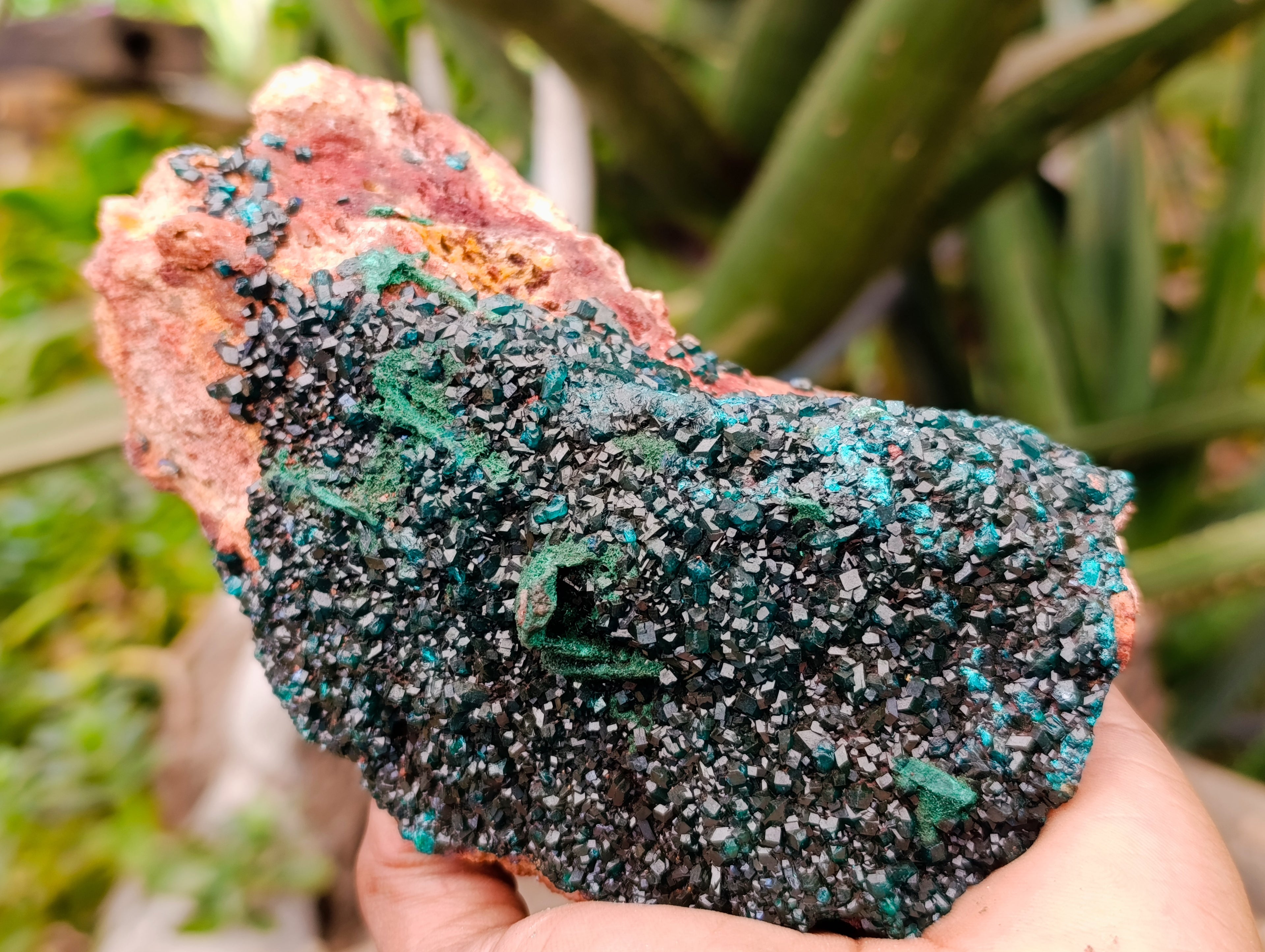 Natural Dioptase with Silky Malachite On Dolomite Cabinet Specimen x 1 From Likasi, Congo - Toprock Gemstones and Minerals 