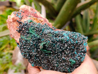 Natural Dioptase with Silky Malachite On Dolomite Cabinet Specimen x 1 From Likasi, Congo