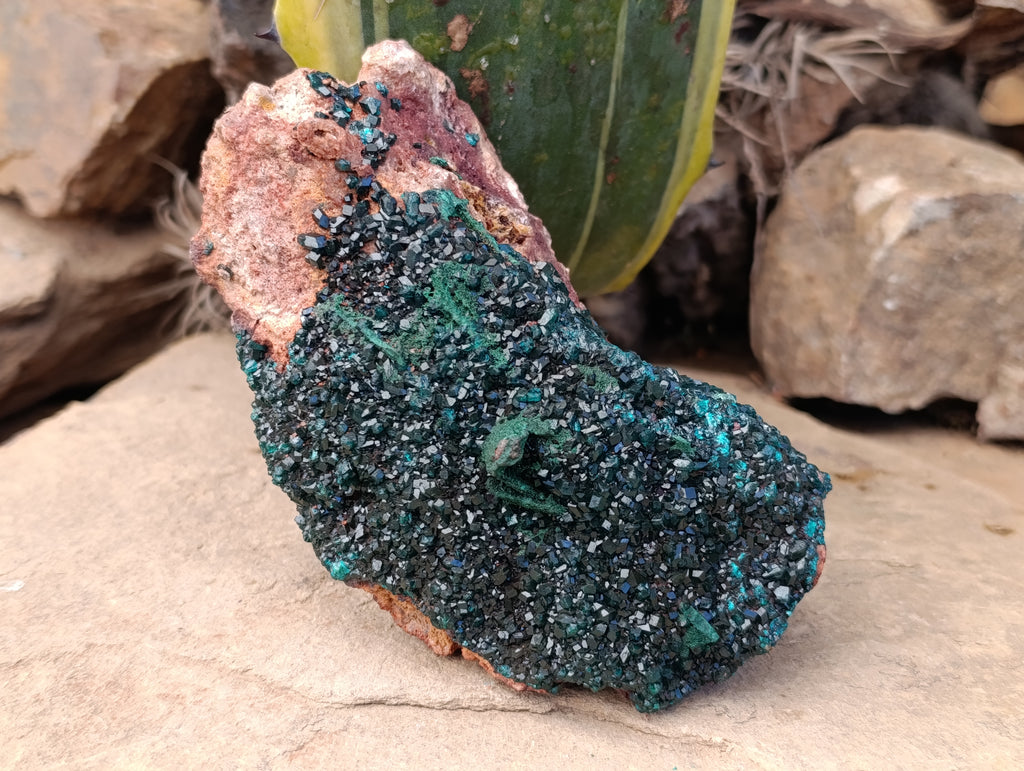 Natural Dioptase with Silky Malachite On Dolomite Cabinet Specimen x 1 From Likasi, Congo - Toprock Gemstones and Minerals 