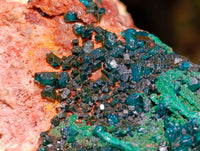 Natural Dioptase with Silky Malachite On Dolomite Cabinet Specimen x 1 From Likasi, Congo
