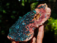 Natural Dioptase with Silky Malachite On Dolomite Cabinet Specimen x 1 From Likasi, Congo