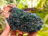 Natural Dioptase with Silky Malachite On Dolomite Cabinet Specimen x 1 From Likasi, Congo