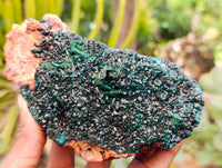 Natural Dioptase with Silky Malachite On Dolomite Cabinet Specimen x 1 From Likasi, Congo