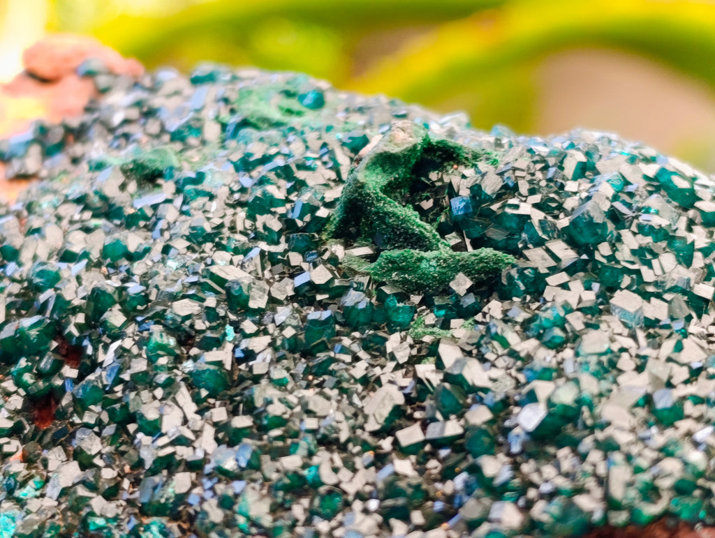 Natural Dioptase with Silky Malachite On Dolomite Cabinet Specimen x 1 From Likasi, Congo - Toprock Gemstones and Minerals 