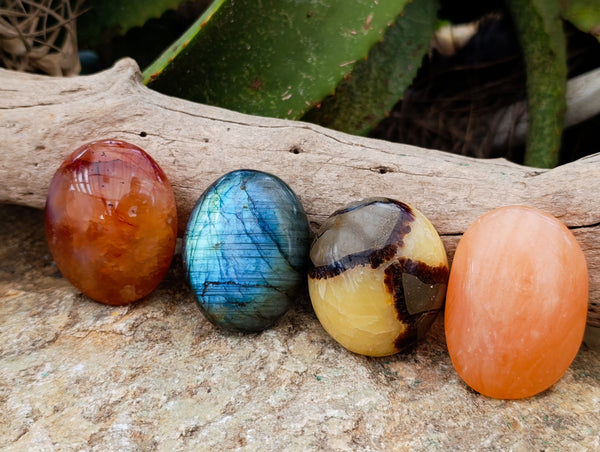 Polished Mix Of Selected Palm Stones x 20 From Madagascar