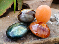 Polished Mix Of Selected Palm Stones x 20 From Madagascar