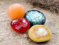 Polished Mix Of Selected Palm Stones x 20 From Madagascar