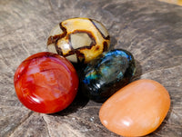 Polished Mix Of Selected Palm Stones x 20 From Madagascar