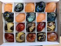 Polished Mix Of Selected Palm Stones x 20 From Madagascar