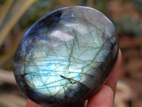 Polished Mix Of Selected Palm Stones x 20 From Madagascar