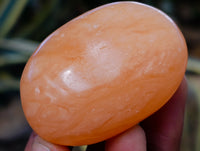 Polished Mix Of Selected Palm Stones x 20 From Madagascar