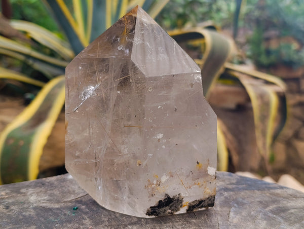 Polished Rare A Grade Rutile Inclusion Quartz Crystal x 1 From Madagascar