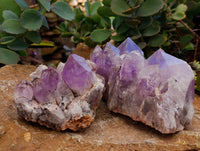 Natural Jacaranda Amethyst Quartz Clusters x 2 From Mumbwa, Zambia - Toprock Gemstones and Minerals 