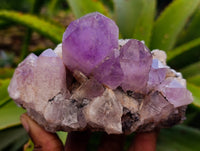Natural Jacaranda Amethyst Quartz Clusters x 2 From Mumbwa, Zambia - Toprock Gemstones and Minerals 