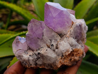 Natural Jacaranda Amethyst Quartz Clusters x 2 From Mumbwa, Zambia - Toprock Gemstones and Minerals 