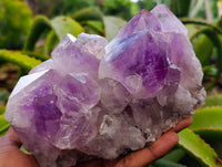 Natural Jacaranda Amethyst Quartz Clusters x 2 From Mumbwa, Zambia - Toprock Gemstones and Minerals 