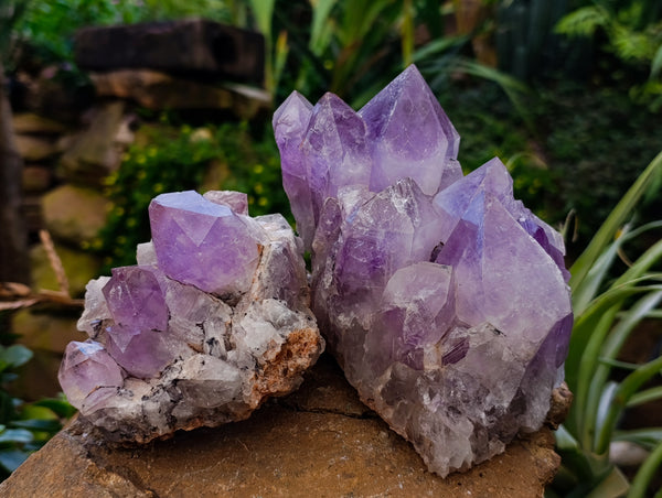 Natural Jacaranda Amethyst Quartz Clusters x 2 From Mumbwa, Zambia