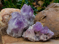 Natural Jacaranda Amethyst Quartz Clusters x 2 From Mumbwa, Zambia - Toprock Gemstones and Minerals 