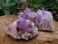 Natural Jacaranda Amethyst Quartz Clusters x 2 From Mumbwa, Zambia - Toprock Gemstones and Minerals 