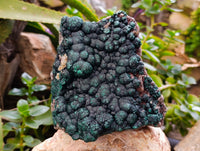 Natural Botryoidal Ball Malachite On Dolomite Matrix Specimen x 1 From Kambove, Congo