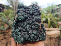 Natural Botryoidal Ball Malachite On Dolomite Matrix Specimen x 1 From Kambove, Congo