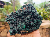 Natural Botryoidal Ball Malachite On Dolomite Matrix Specimen x 1 From Kambove, Congo