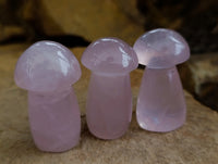 Polished Small Gemmy Rose Quartz Mushrooms x 20 From Ambatondrazaka, Madagascar