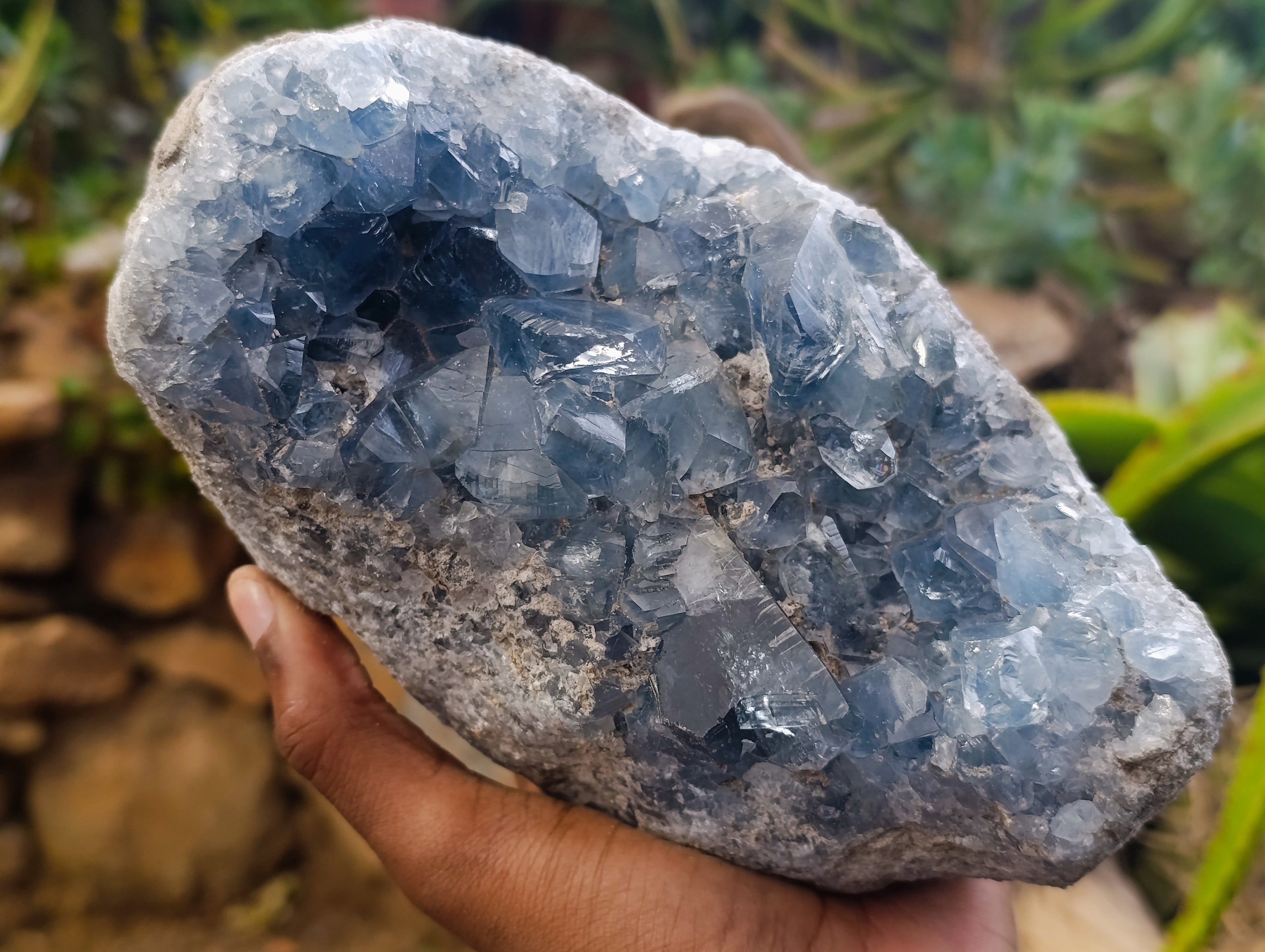 Natural Celestite Geode Specimen x 1 From Sakoany, Madagascar - Toprock Gemstones and Minerals 